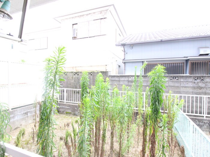 物件内観写真16　(室内からの展望)