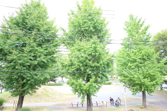 物件内観写真19　(室内からの展望)