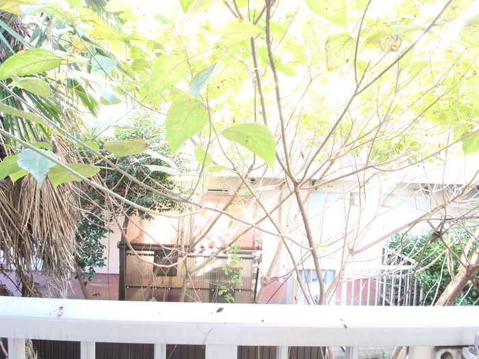 物件内観写真15　(室内からの展望)