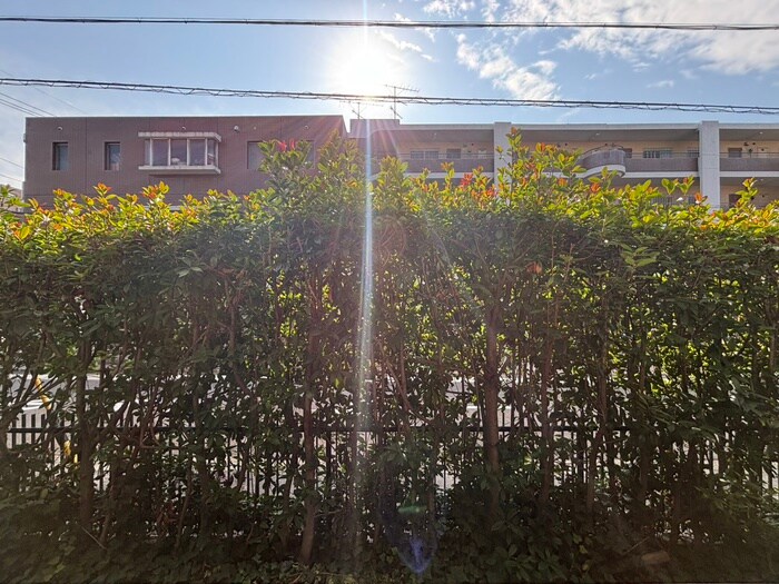 物件内観写真15　(室内からの展望)