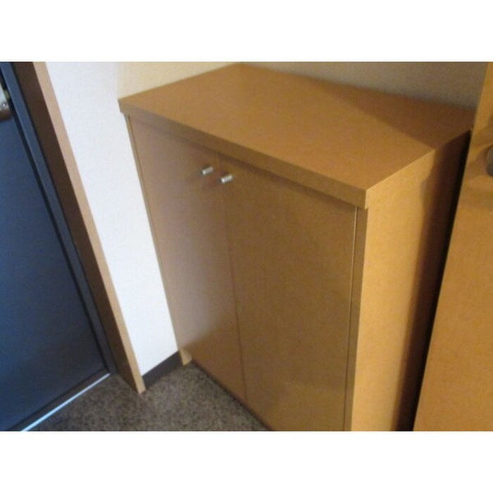 物件内観写真13　(靴箱)