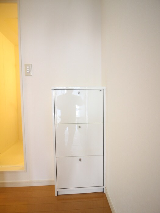 物件内観写真10　(靴箱)