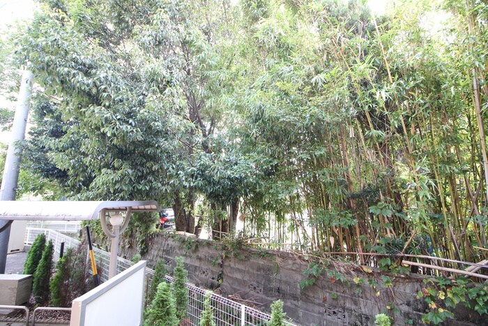 物件内観写真20　(室内からの展望)