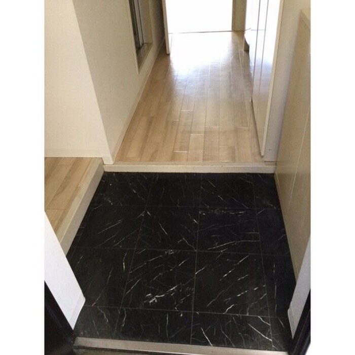 物件内観写真5　(玄関)