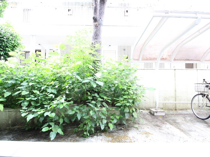 物件内観写真19　(室内からの展望)