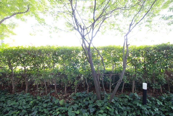 物件内観写真16　(室内からの展望)