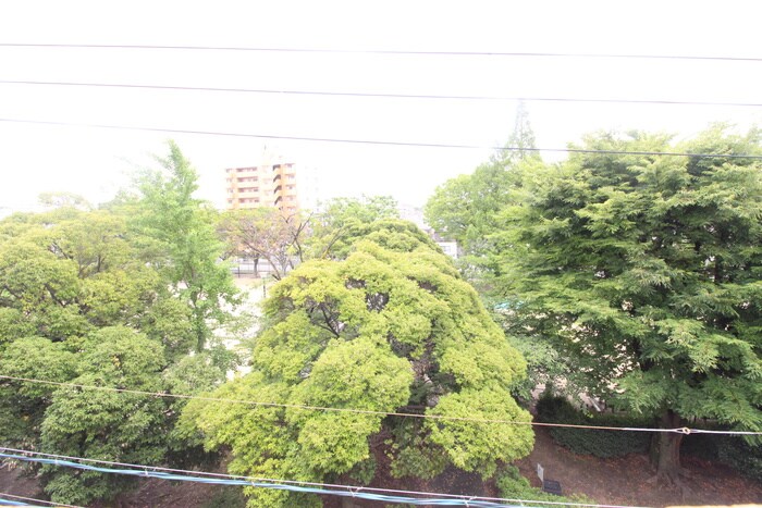 物件内観写真18　(室内からの展望)