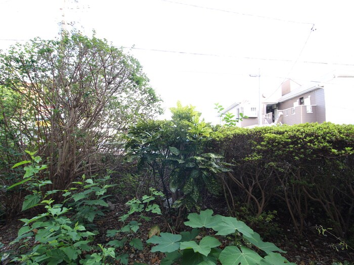 物件内観写真16　(室内からの展望)