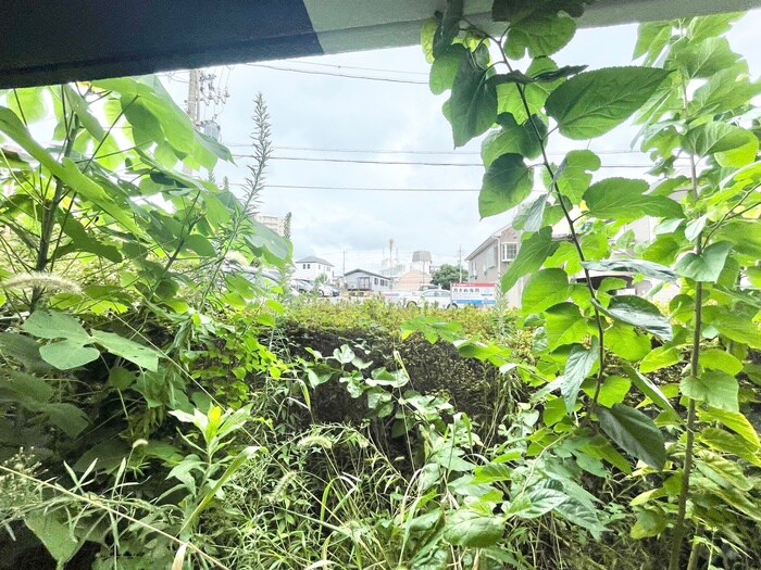 物件内観写真19　(室内からの展望)