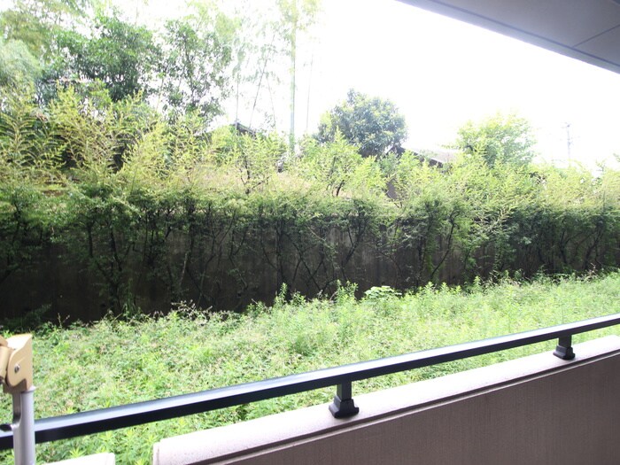 物件内観写真16　(室内からの展望)