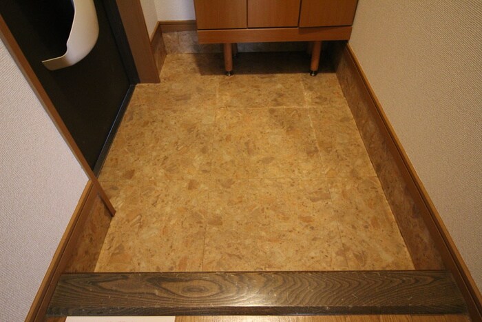 物件内観写真11　(玄関)