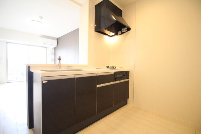 物件内観写真10　(キッチン)