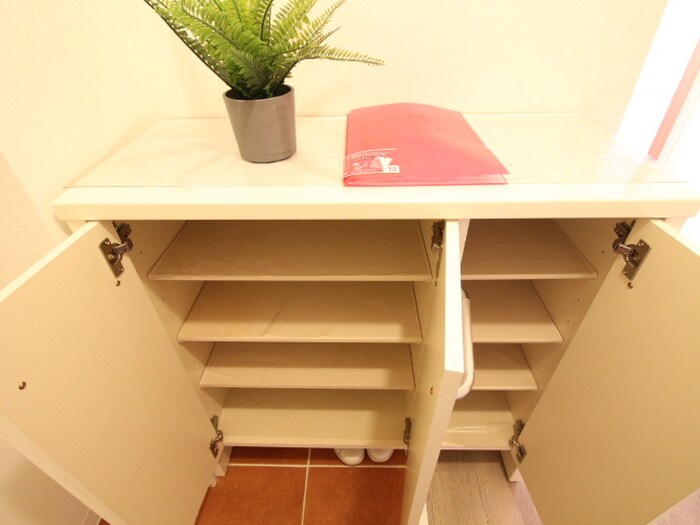 物件内観写真19　(靴箱)