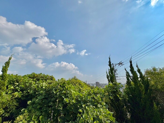 物件内観写真14　(室内からの展望)