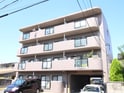 アムール正保