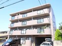 アムール正保