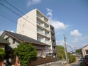 モッティⅡ