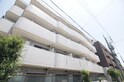 ﾒｿﾞﾝﾄﾞｼｬﾝﾃ