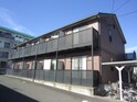 Ｅｍｐｅｒｕｒ Ｂｏｉｓステラ