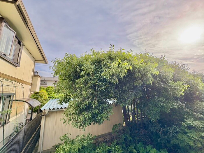 物件内観写真15　(室内からの展望)