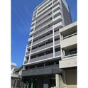 ﾒｲﾝｽﾃｰｼﾞ名古屋ﾉｰｽﾏｰｸ(501)
