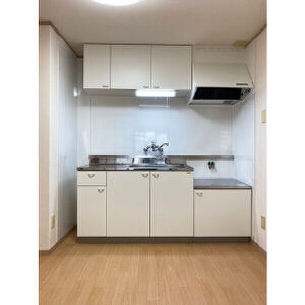 物件内観写真3　(キッチン)