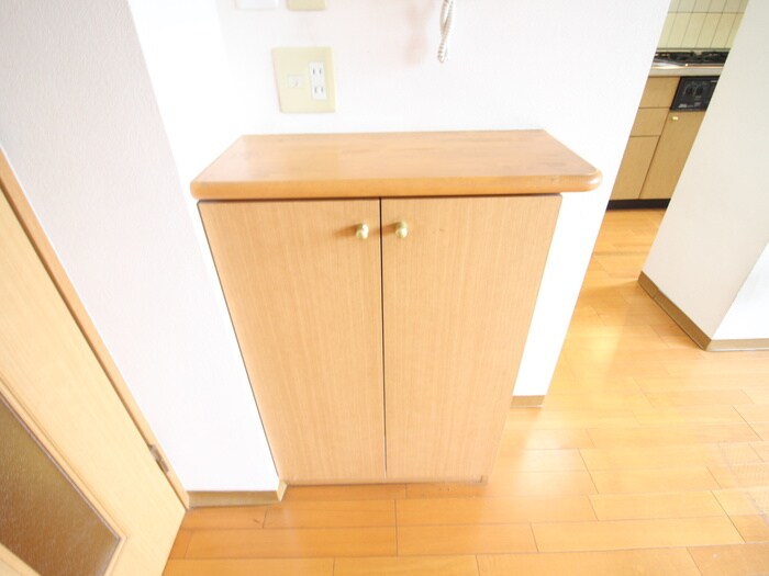 物件内観写真19　(収納)