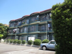 シャトー樹里外観写真