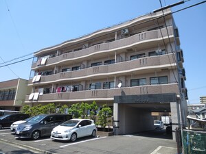 クオ－レ古金外観写真