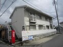 ハイムパンプキン１
