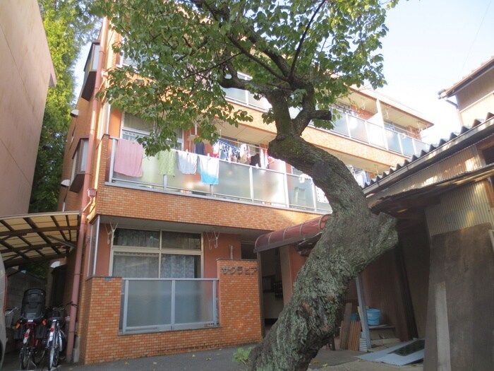 物件外観写真4　(外観写真)