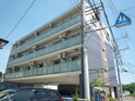 エムズカ－ム