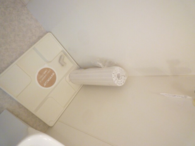 物件内観写真11　(洗濯機置場)