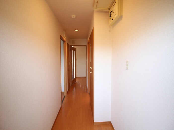 物件内観写真19　(廊下)