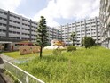 駈上住宅D棟（658）