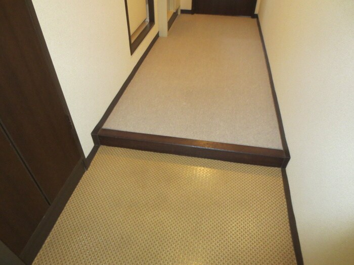 物件内観写真4　(玄関)