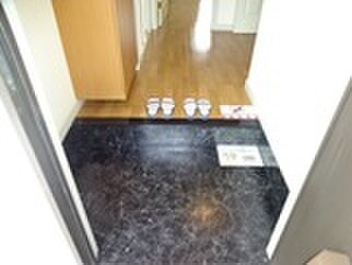 物件内観写真4　(玄関)