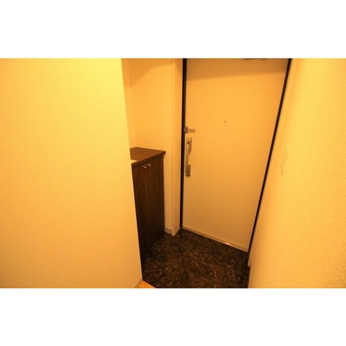 物件内観写真9　(玄関)