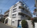 ﾗｲｵﾝｽﾞﾏﾝｼｮﾝﾚﾃﾞｨ-ｽ汐路(306)