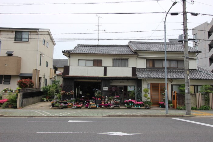 物件内観写真17　(室内からの展望)