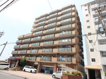 ﾗｲｵﾝｽﾞﾏﾝｼｮﾝ一宮九品町(409)外観写真