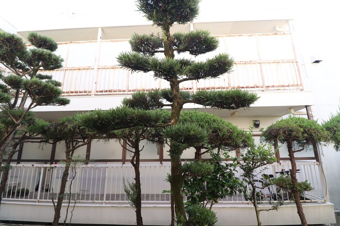 物件内観写真18　(室内からの展望)