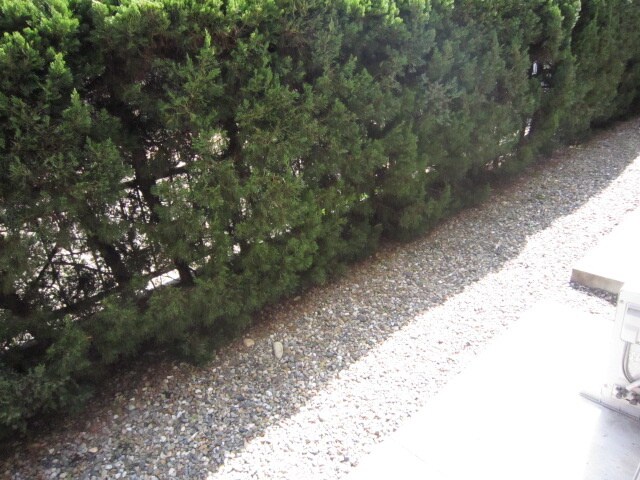 物件内観写真14　(ベランダ・バルコニー)