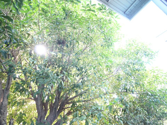 物件内観写真17　(室内からの展望)