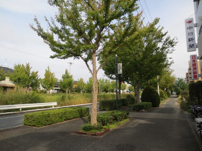 物件外観写真5　(周辺環境)