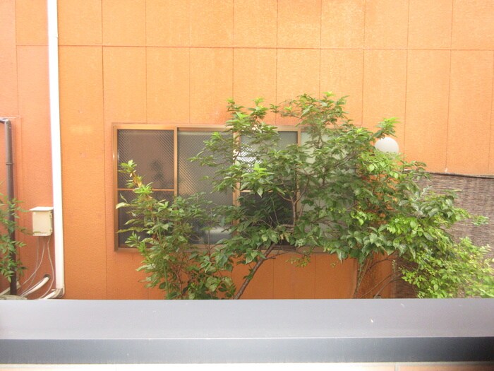 物件内観写真18　(室内からの展望)