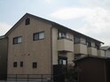 チアフル２３