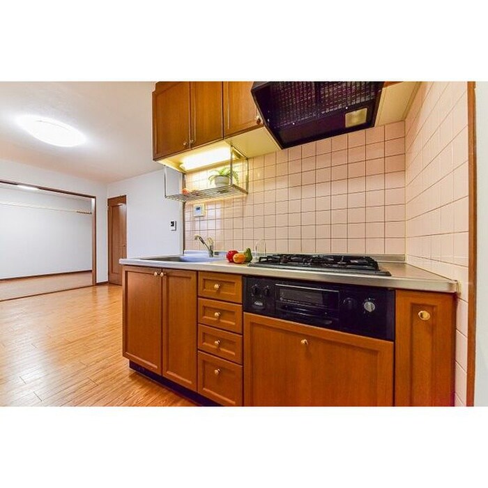 物件内観写真5　(キッチン)