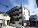 シャンポール花の木