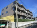 フロイエン高針